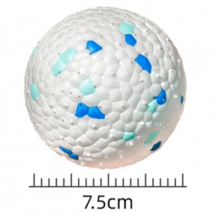 dog  ball6